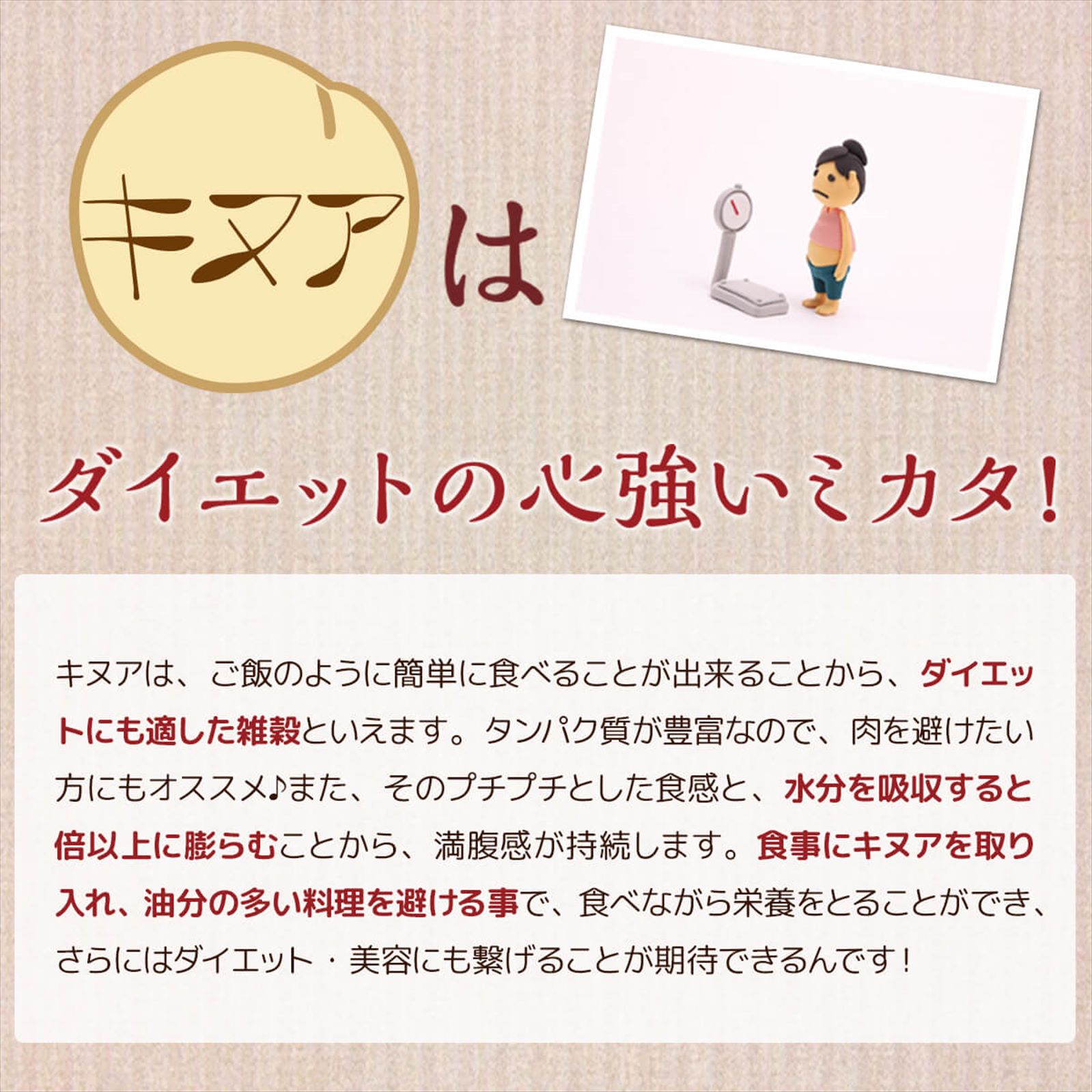 �����ѡ��ա����о졪���̥�(�������˥å�)500g������̵���Ǥʤ��1580�ߡ����Ӥ˾����Ǥ�ʢ���äѤ����ڥ��̥�/���̤���