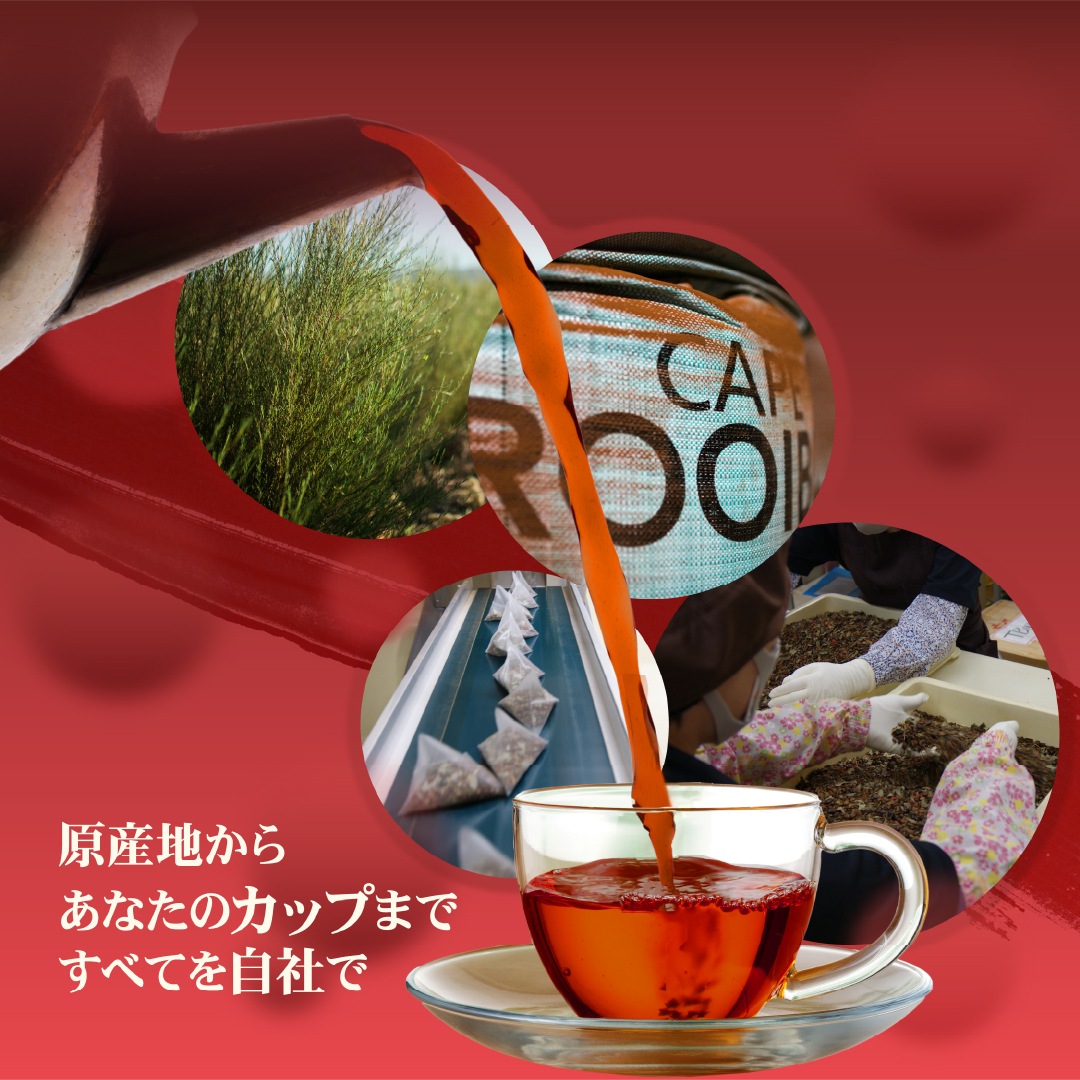 ˥å륤ܥƥΥ󥫥ե ޥ˥ƥ ǥ Ȭ