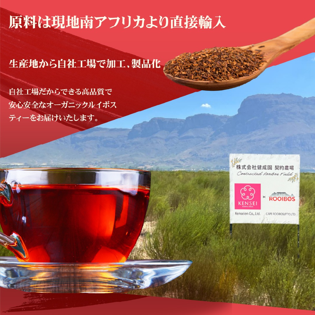 ˥å륤ܥƥΥ󥫥ե ޥ˥ƥ ǥ Ȭ