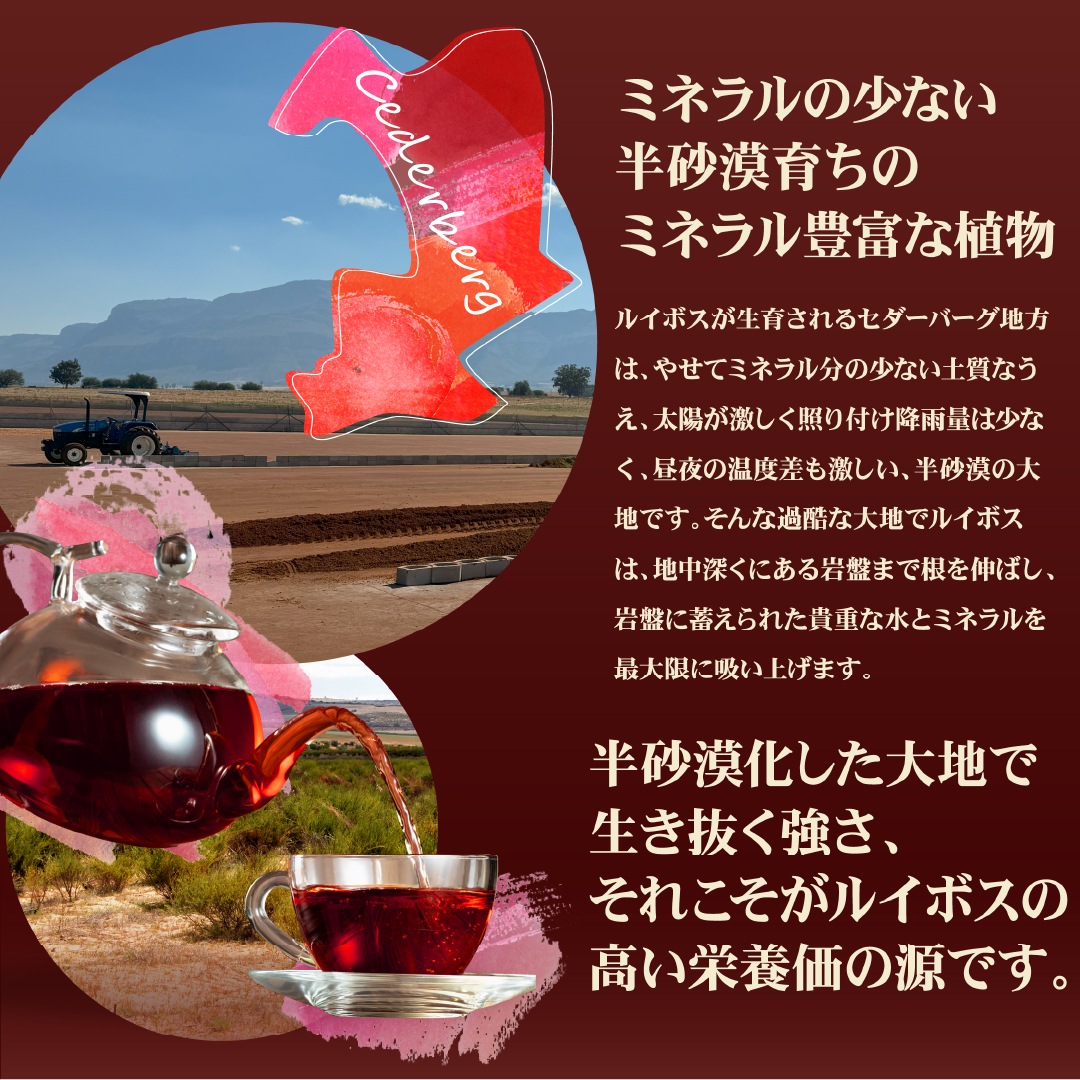 ˥å륤ܥƥΥ󥫥ե ޥ˥ƥ ǥ Ȭ