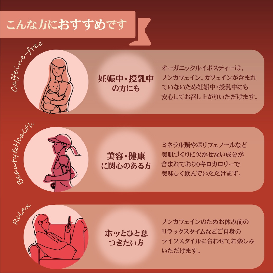 ˥å륤ܥƥΥ󥫥ե ޥ˥ƥ ǥ Ȭ