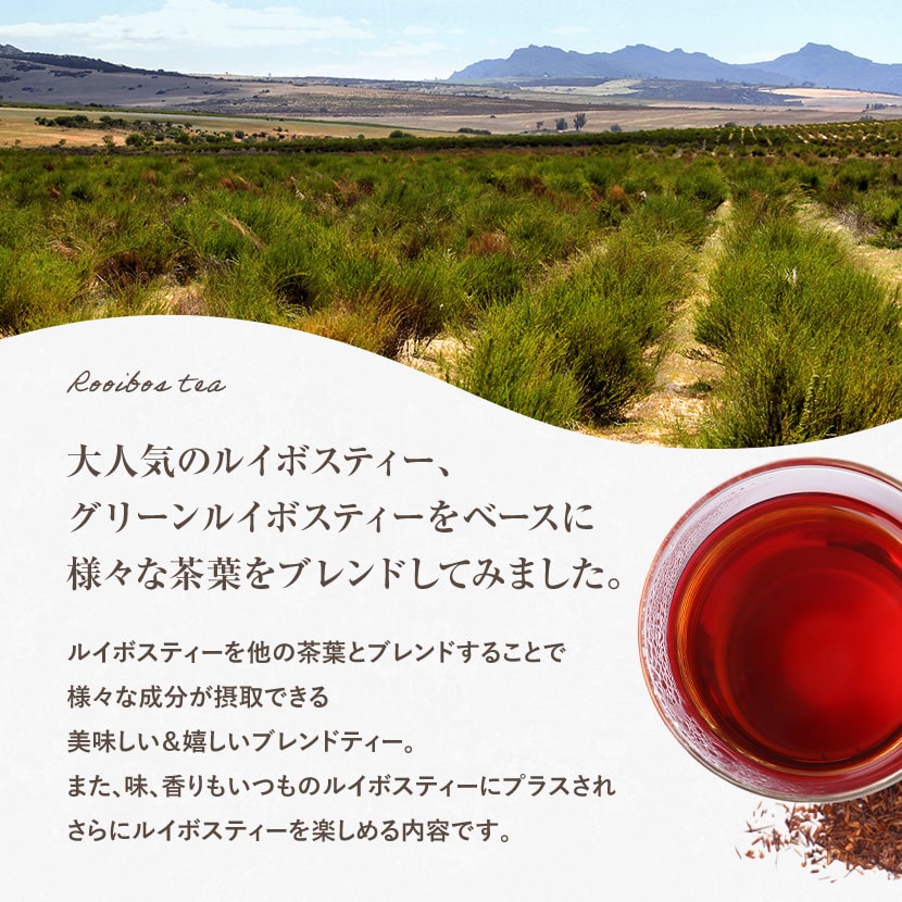 륤ܥƥ 2g100ڿʡ6फ٤ 륤ܥƥ withƦ Ϥ 16 / ꡼륤ܥ with㥹ߥ ꡼ޥ Ф ƥȥ鷿 ƥѥåʥХåˤդ롡6Υե졼С٤Ȭ1000ߥݥå ̵