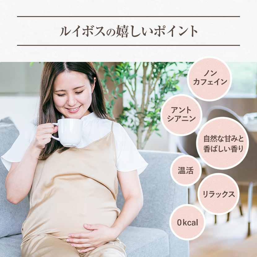 륤ܥƥ 2g100ڿʡ6फ٤ 륤ܥƥ withƦ Ϥ 16 / ꡼륤ܥ with㥹ߥ ꡼ޥ Ф ƥȥ鷿 ƥѥåʥХåˤդ롡6Υե졼С٤Ȭ1000ߥݥå ̵