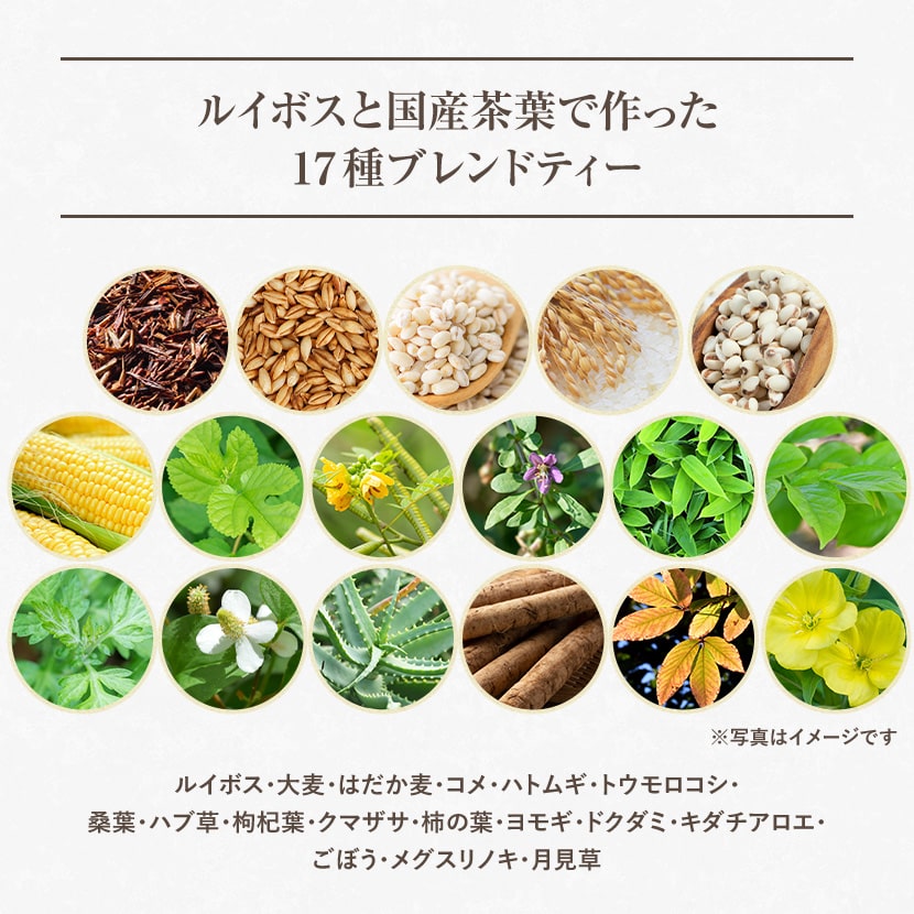 륤ܥƥ 2g100ڿʡ6फ٤ 륤ܥƥ withƦ Ϥ 16 / ꡼륤ܥ with㥹ߥ ꡼ޥ Ф ƥȥ鷿 ƥѥåʥХåˤդ롡6Υե졼С٤Ȭ1000ߥݥå ̵