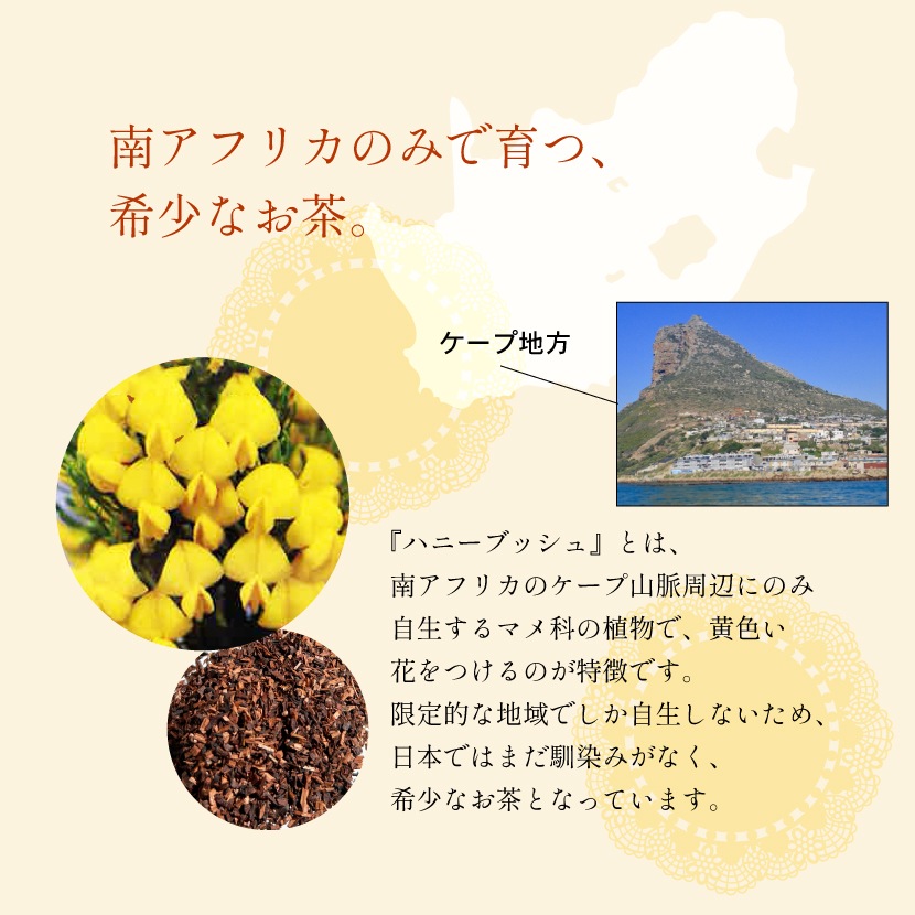 ͭ���ϥˡ��֥å���ƥ��� 2g��80�� �Υ󥫥ե����� �ƥ����Хå�(�ѥå�) �ޥ��˥ƥ� ����̵��