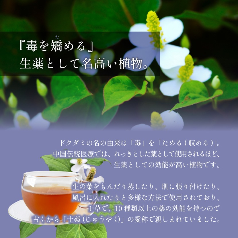 �񻺤ɤ������� 3g��50�� ����̵�� �ƥ����ѥå� (�Хå�)  �Υ󥫥ե����� ���� �ɥ����� �ɤ����� ����