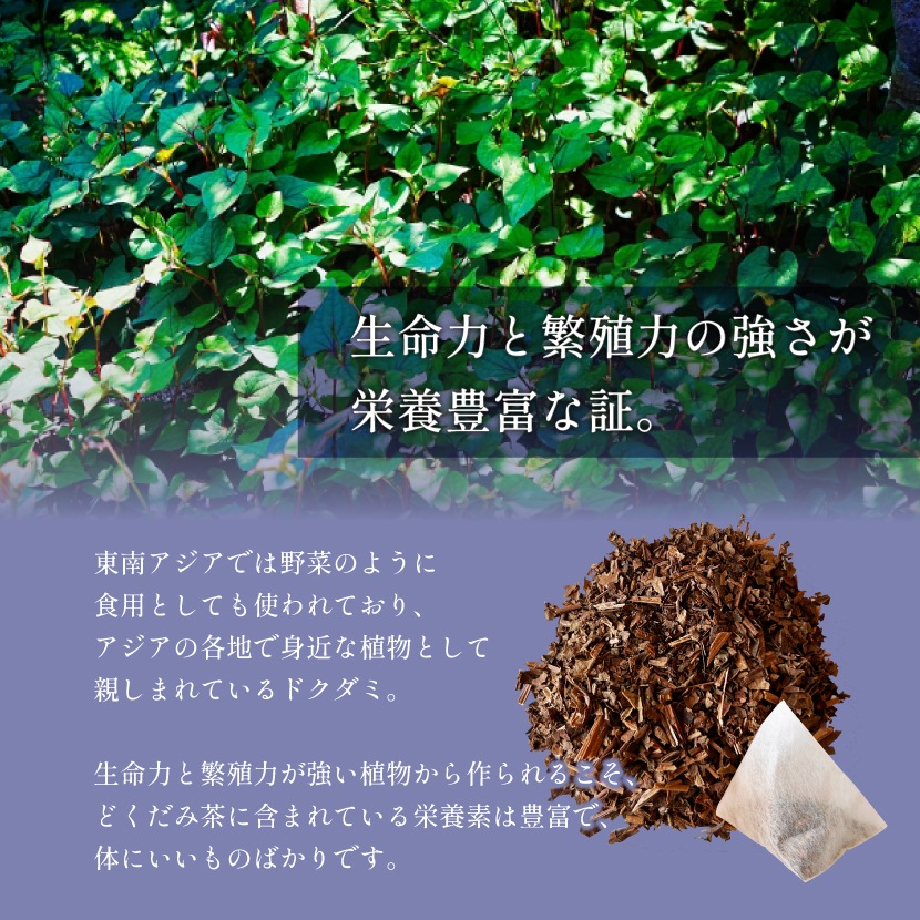 �񻺤ɤ������� 3g��50�� ����̵�� �ƥ����ѥå� (�Хå�)  �Υ󥫥ե����� ���� �ɥ����� �ɤ����� ����