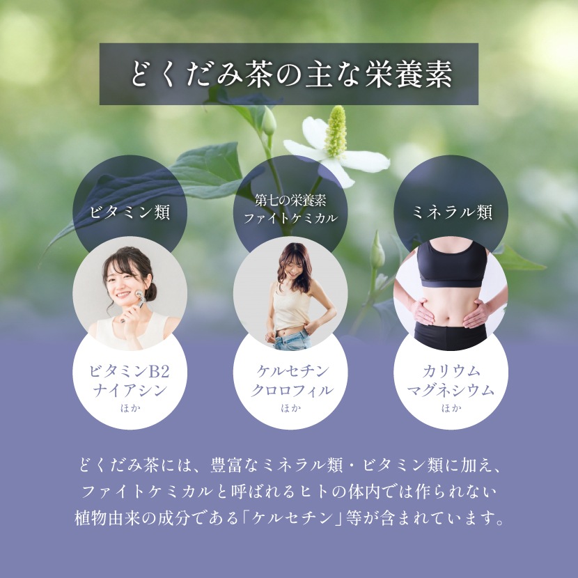 �񻺤ɤ������� 3g��50�� ����̵�� �ƥ����ѥå� (�Хå�)  �Υ󥫥ե����� ���� �ɥ����� �ɤ����� ����