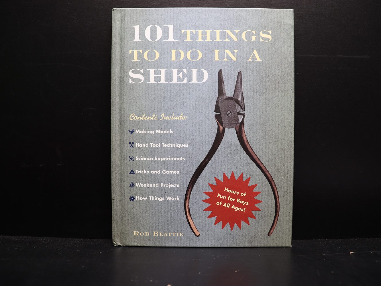101 Things to do in a SHED