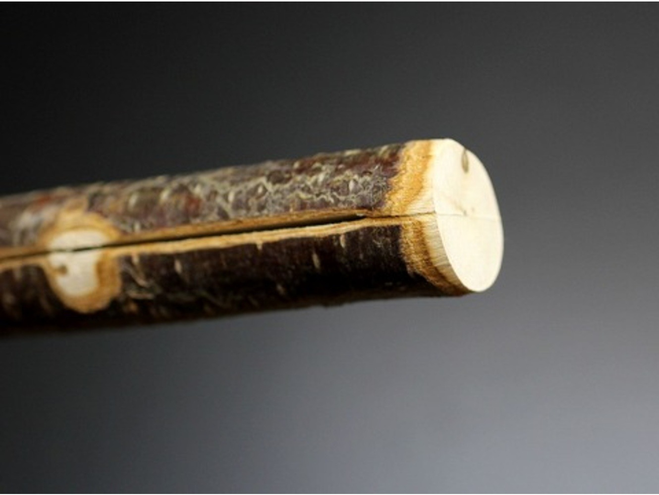 リトルオウル　コールホイッスル