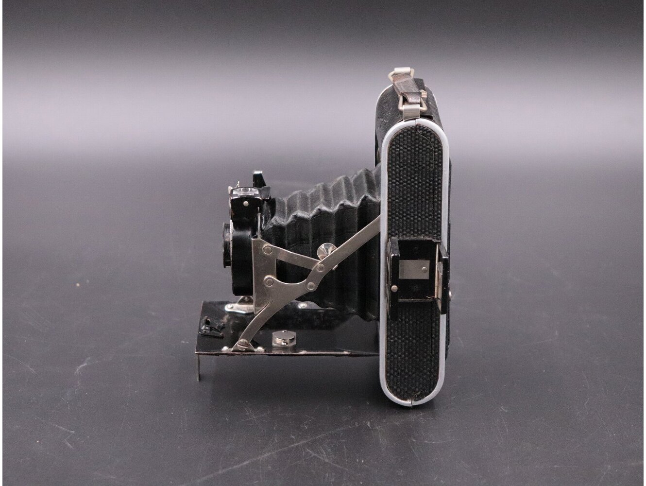 カメラ | 雑貨・ディスプレイ小物,ホビー | イギリスアンティーク家具