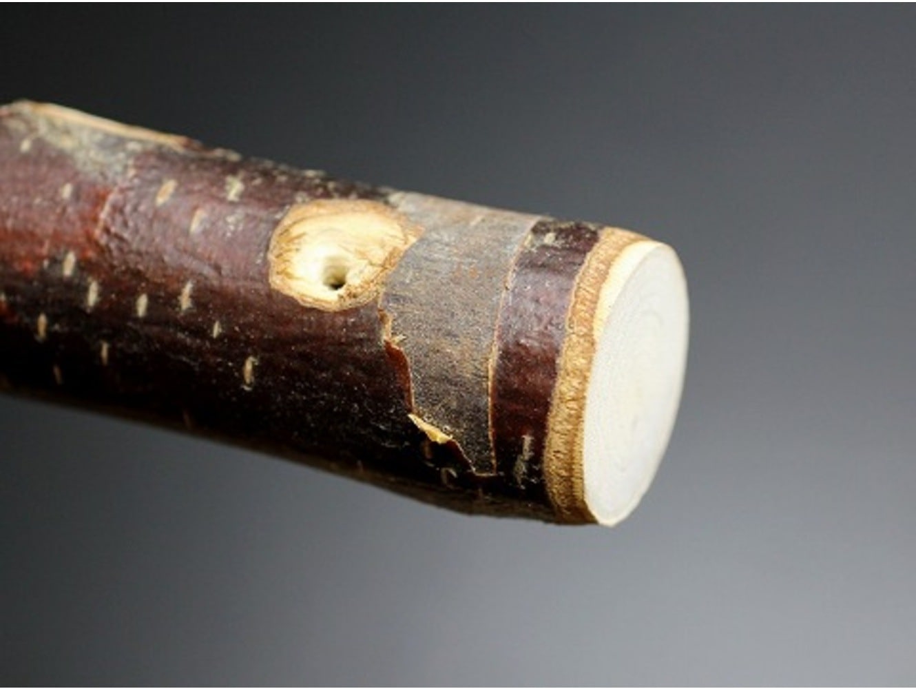 クックー　コールホイッスル