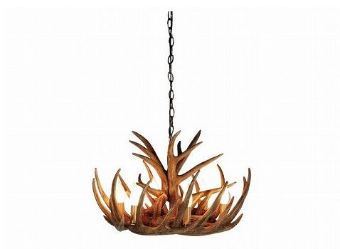 テールアントラー シャンデリア