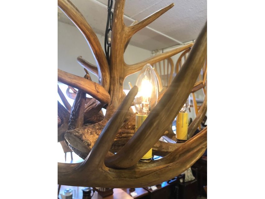 テールアントラー シャンデリア