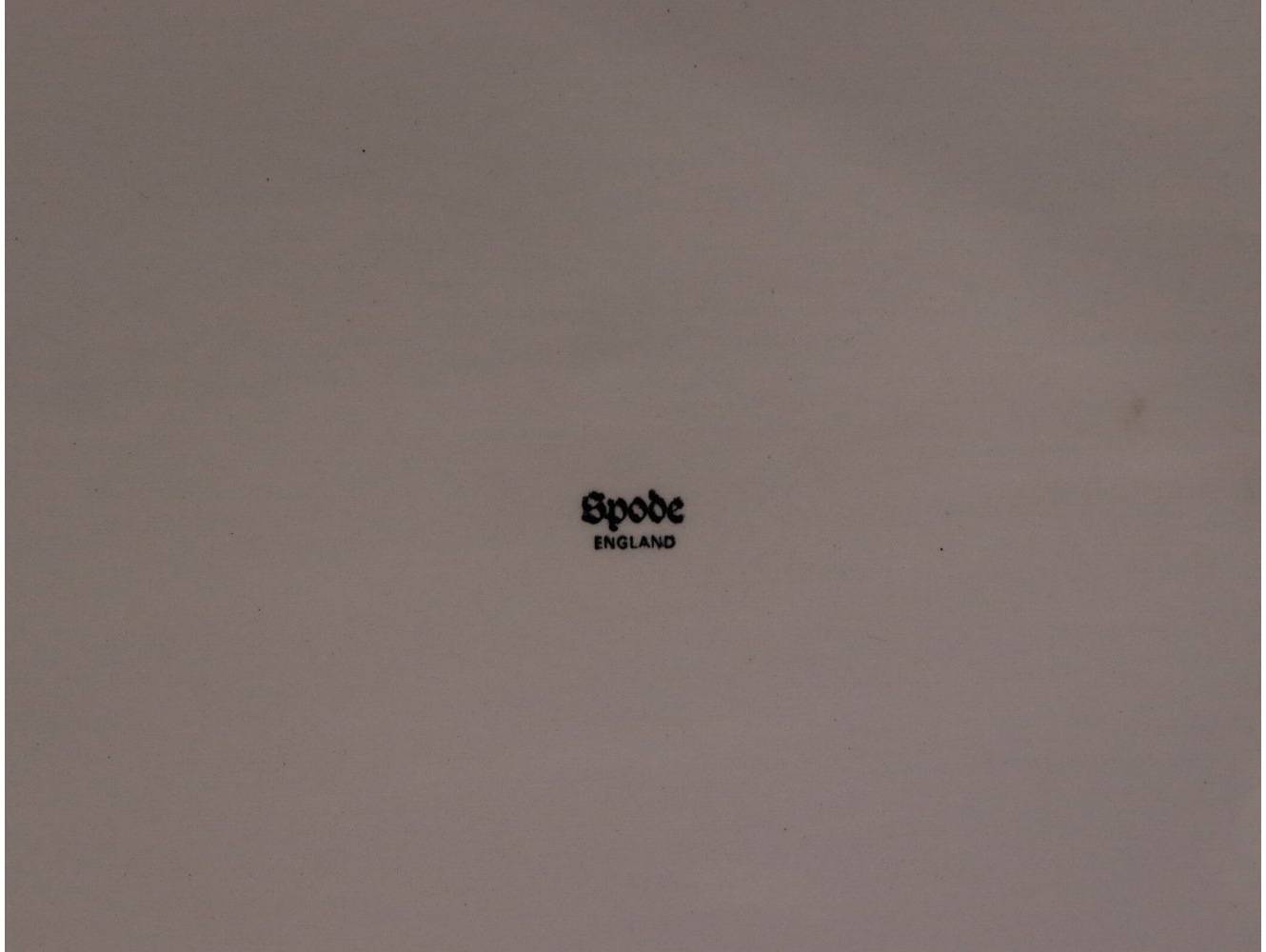 ターキープレート