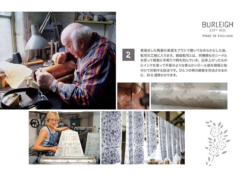 カップ＆ソーサー グリーンプルナス