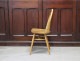 աץХå ERCOL