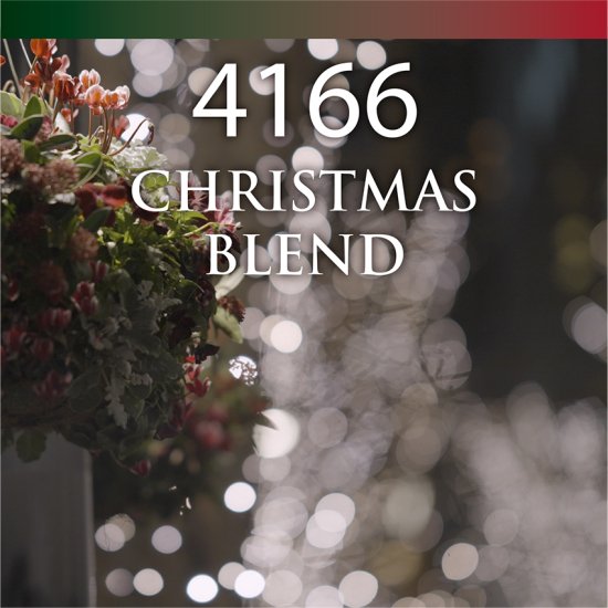 紅茶 4166クリスマスブレンド