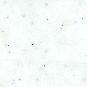 DK-07 �����顼�ȥۥ磻�ȡ�DK���꡼���ʿ͹������С�