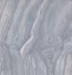 XS 4007 �������ȡ��󥰥饷��