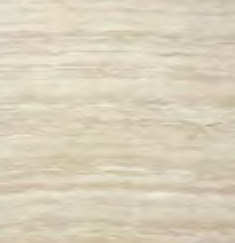 CPA4004D ¥»¥é¥»¥ë¥Ú¥¸¥ã¥ó¥Æ¥À¡¼¥¯