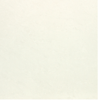 448AB818 ¥é¥¤¥È¥«¥é¡¼¡¡¥¹¥Î¡¼¥Û¥ï¥¤¥È