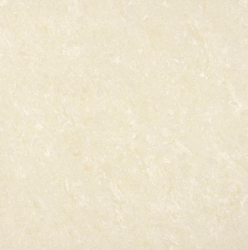 448A813 �饤�ȥ��顼����������