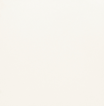 SLA410 ¥é¥¤¥È¥«¥é¡¼¡¡¥¹¥Ú¥·¥ã¥ë¥Û¥ï¥¤¥È