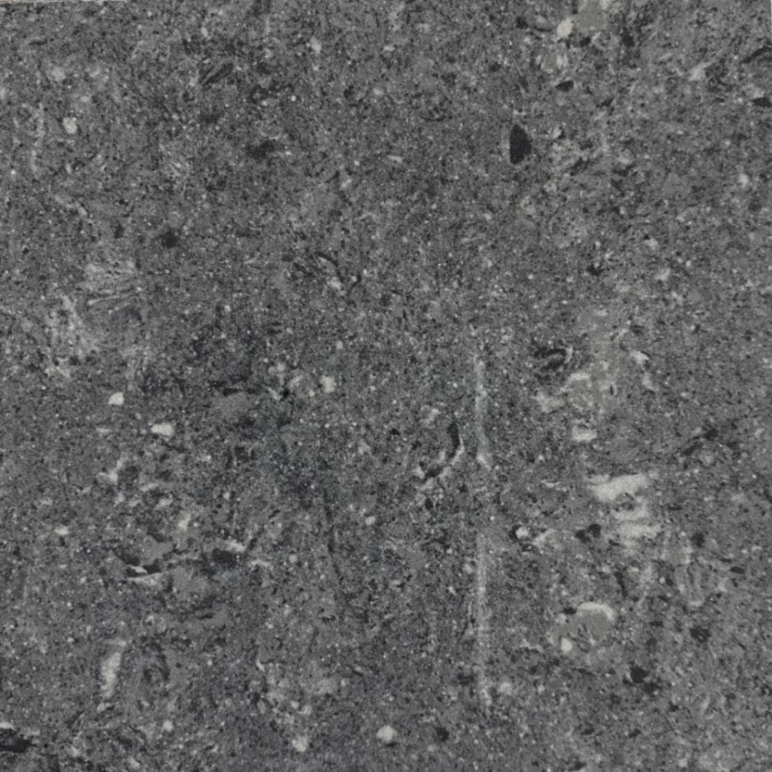 セラミックタイル磨きタイプ WV60885の値段、見積もり |セラミック