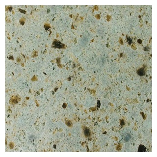 ��ë������ �������Ԥ�