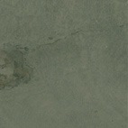 ���ȡ���٥˥���ST-VE 108 ����������CALIFORNIA GOLD