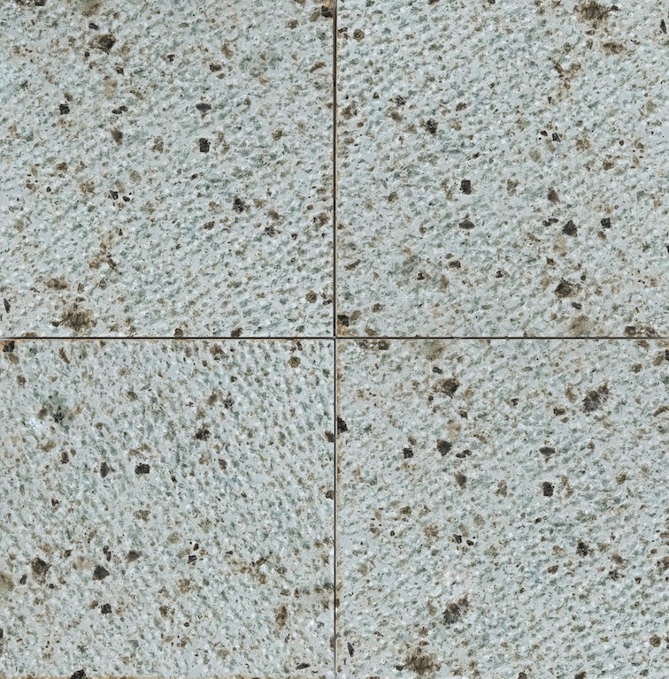 ��ë������ �ӥ����ù�