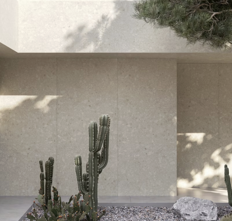 ����  AVA�åǥ��ȥ�ʥ���ߥå����ȡ����