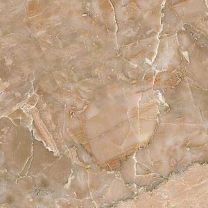 �֥�å��������������᤭