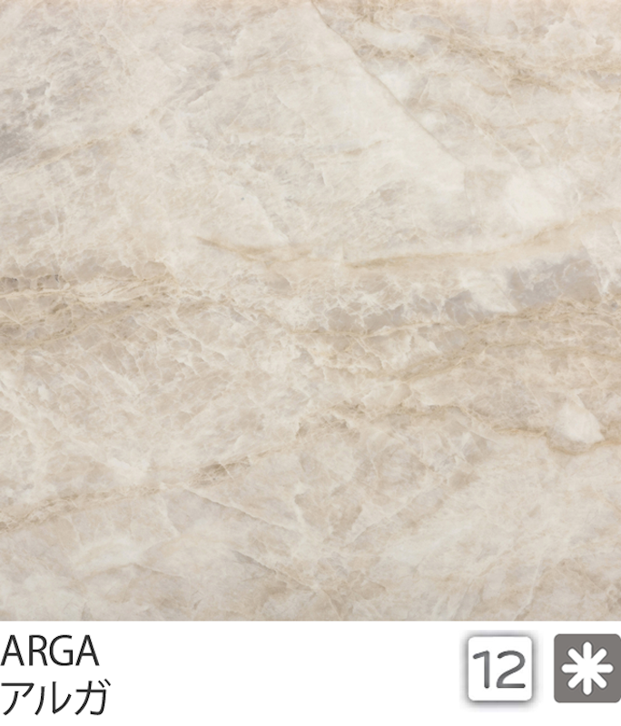 륬  ARGAåǥȥʥߥåȡ˶