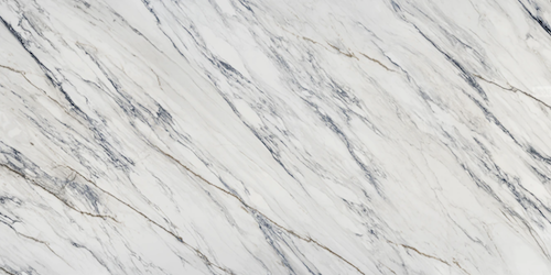 ȥ  TRANCEåǥȥʥߥåȡ˶