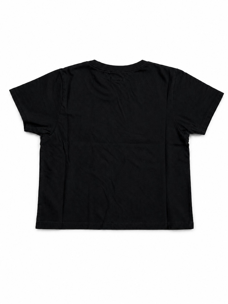 KAPITAL(キャピタル) / 20/-天竺 クロップド T (BIGコンチョ