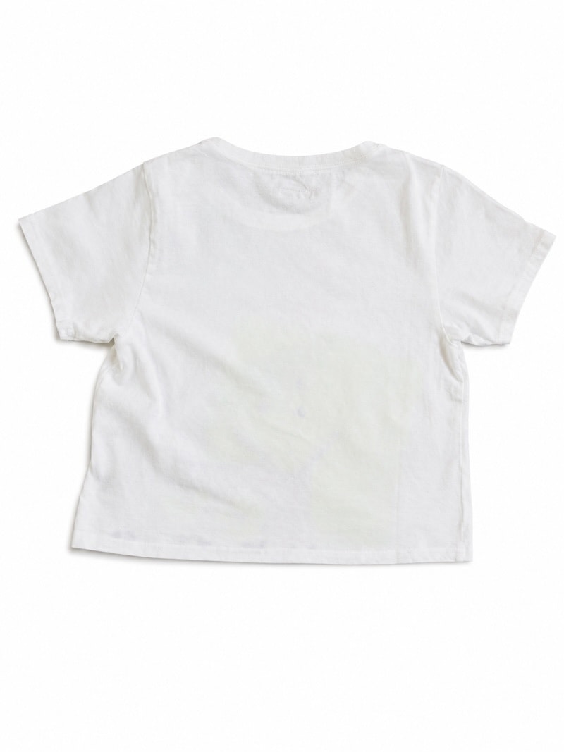 KAPITAL(キャピタル) /20/-天竺クロップドT（GIANT PECKISHpt）/ イエロー / 26SS