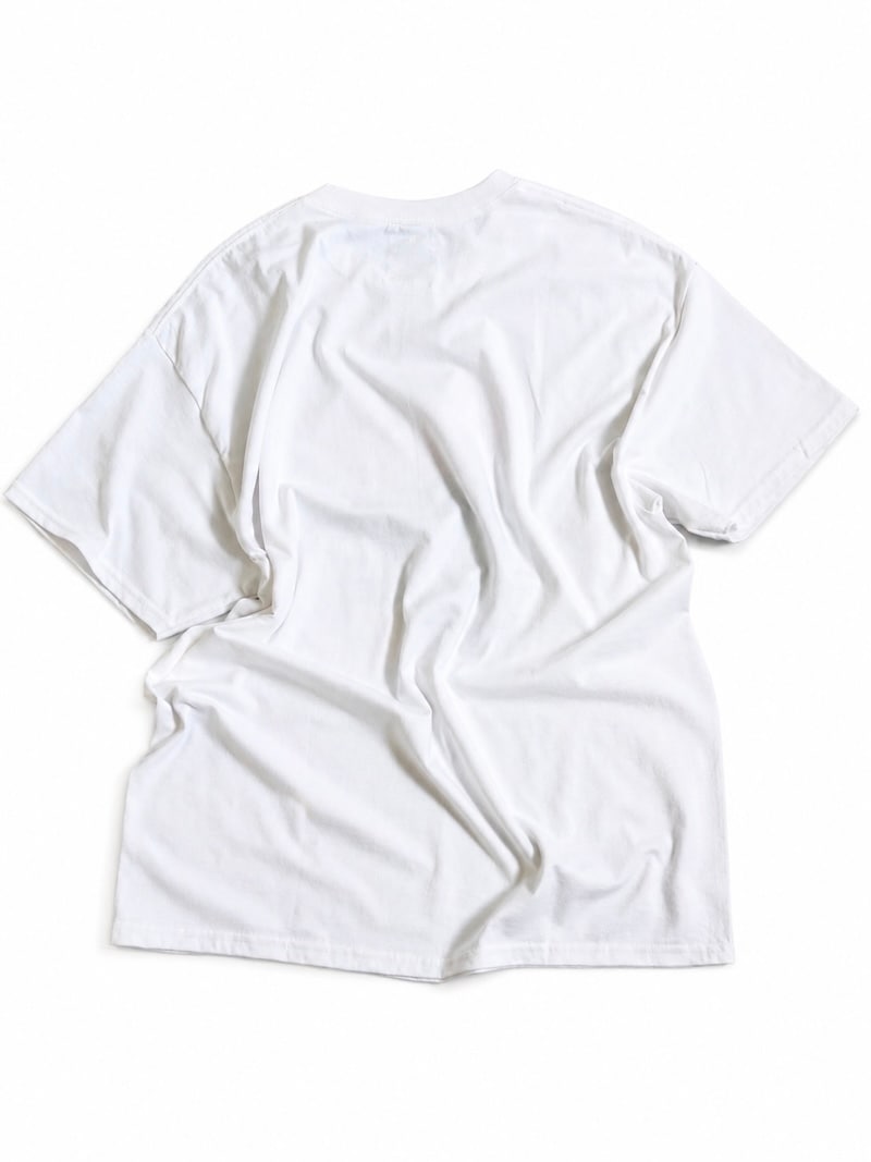 BLACKBIRD (ブラックバード) / short sleeve cutsewn 03 (White) 26AW