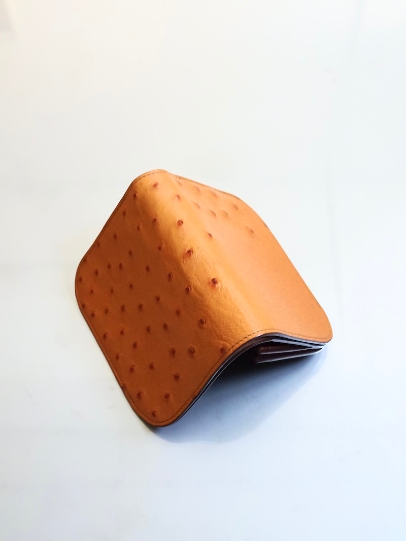 BISOWN (ビソウン) / BOAT WALLET OSTRICH (CHESNUT) 26SS | 商品一覧