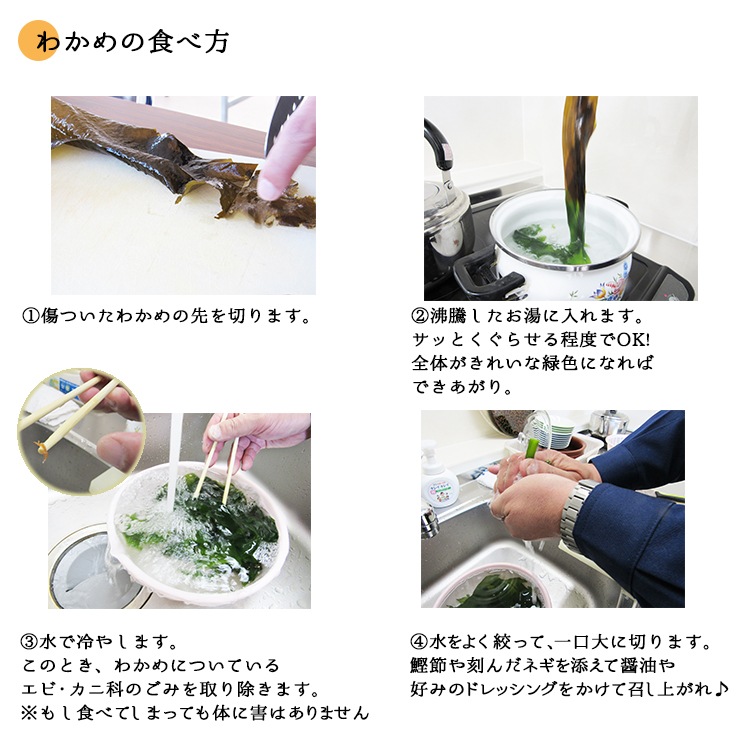 新芽わかめ 宮城県石巻産 新もの！ 布い