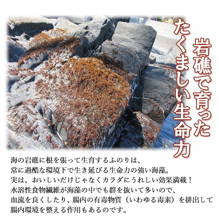 乾燥ふのり g 和丸水産 東北 気仙沼 三陸 朝食 朝ごはん 味噌汁の具 海藻サラダ お取り寄せ 通販サイト 気仙沼さん