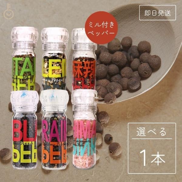 選べる オーバーシーズ スパイスアップ ブラックペッパー レインボー