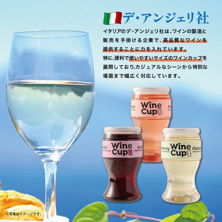メモス グランヴィラ 缶ワイン 250ml 6本 選べる イタリア ワイン