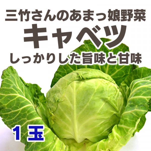 キャベツ - 三竹さんのあまっ娘キャベツ 1玉[愛知]