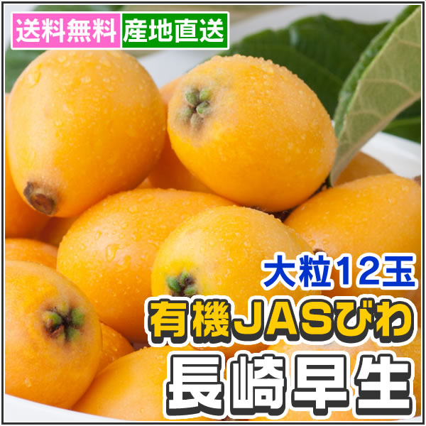 びわ - 長崎早生 化粧箱12玉[福岡]<有機JAS認証><産地直送>