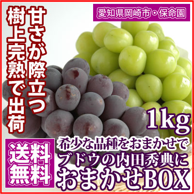 【2022年販売中止】ぶどう - おまかせBOXどっさり1kg！[愛知] 保命園 <直送>