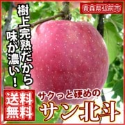 【2024年産取扱休止】サン北斗 3・5・10kg 贈答用・家庭用[青森]石岡りんご園 / りんご 10月下旬
