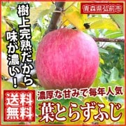 【2025年産 休止】りんご - 葉とらずふじ [予約] 3・5・10kg [青森] 石岡りんご園 農家直送 12月中旬～