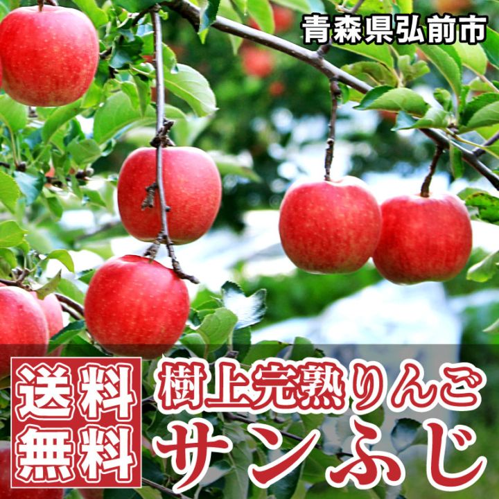 10月受付開始予定】りんご - サンふじ [予約] 3・5・10kg [青森] 石岡